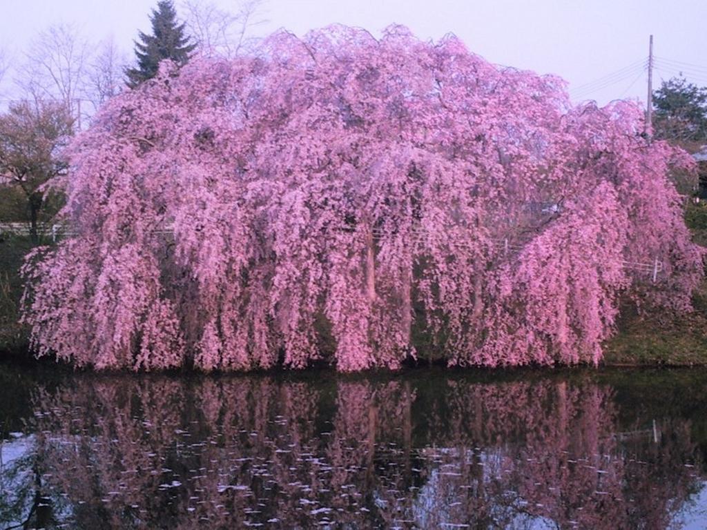 Yamayuri no Yado Hanamaki Dış mekan fotoğraf